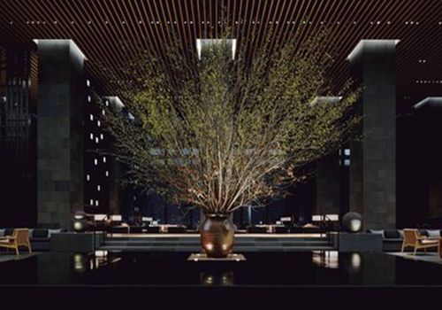 希尔顿欢朋酒店成为行业复苏的典范